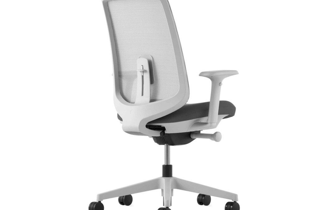Herman Miller Verus Chair