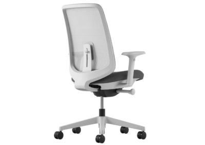 Herman Miller Verus Chair